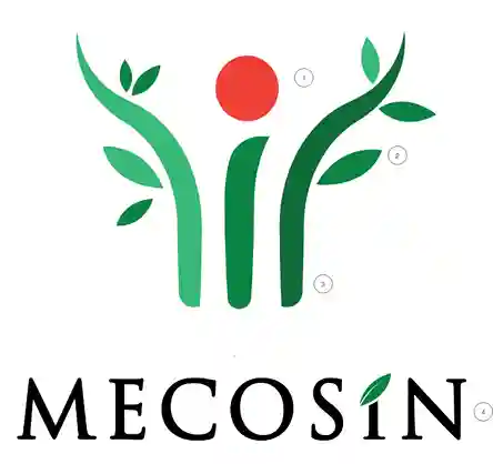 PT MECOSIN